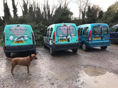 The Pet Butler's branded vans parked up before a group walk